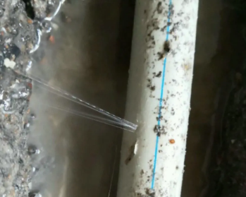 廊坊市卫生间测漏水多少钱